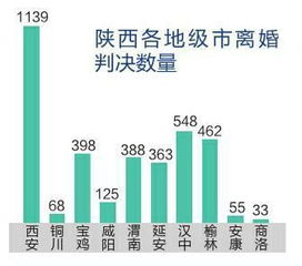 专业律师推2017陕西离婚判决大数据 80 不判离 