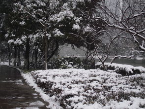 发现雪地模式和风景模式差别很大