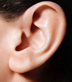 由耳朵形状看人性格特点及财富运势,赶紧看看你的耳朵是否准确