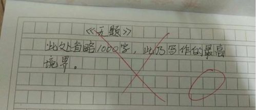 小学生0分作文走红,看了你觉得如何