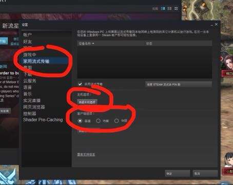 新流星搜剑录steam版出现卡顿怎么办 新流星搜剑录处理卡顿方法分享