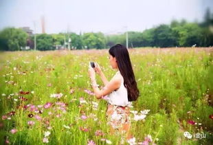 金山竟藏着那么多美若仙境的花海,每一个都好特别 