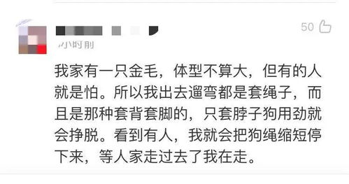 小区养狗者发文 怕狗请绕行,受不了可去住独栋别墅 结果被怼... 