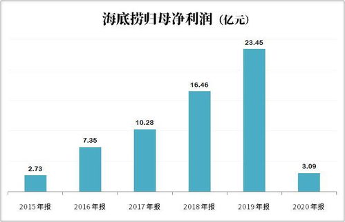 汇鸿集团：上半年净利润达1.41亿元，成功扭亏为盈