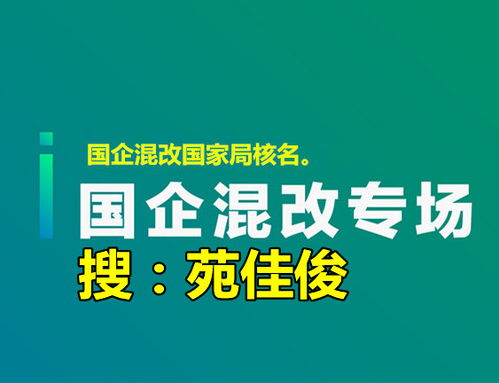 国企混改可由私企控股吗？