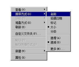 文件排列没有 类型排列 怎么回事 