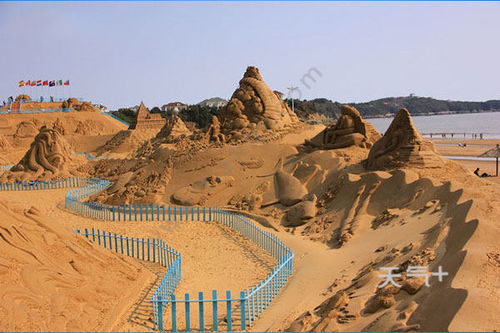 朱家尖旅游住哪里(朱家尖旅游住宿哪里好)