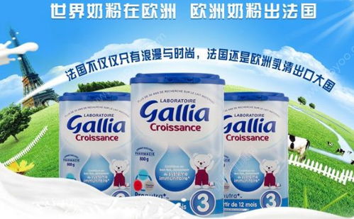 gallia？法国gallia奶粉