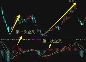 面对资本市场的风云变幻，你将如何抉择股票与基金投资呢?结合证券投资策划的相关知识，阐述自己的观点。