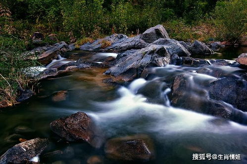 8月,贵人相助,出人头地,3生肖好运纷至沓来,旱苗得雨如意顺遂