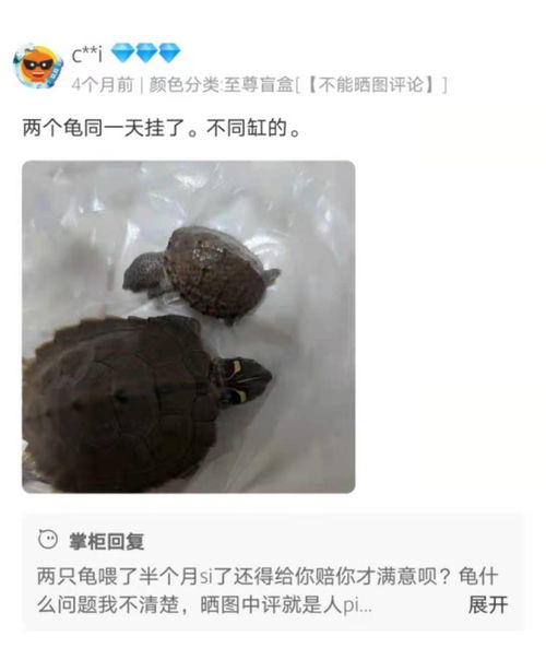 网售活体乌龟 盲盒 大热之下存隐忧 活体动物运输如何保证规范检测