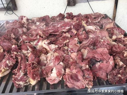 民间,钓到大罗非皆高手和臭马肉香驴肉,宁死不吃骡子肉啥意思