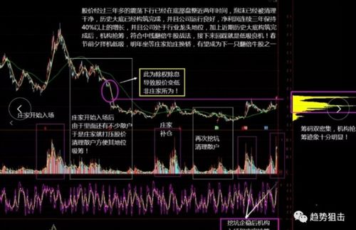 电力、交通、建筑、机械、轻工的股票龙头有哪些？