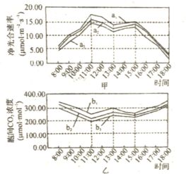 生物多样性的根本原因是不是DNA的碱基对排列多样性