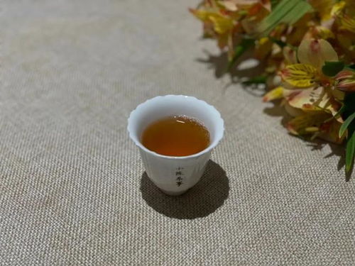 露冷风清香自老,记一代武夷岩茶的名丛传奇,素心兰