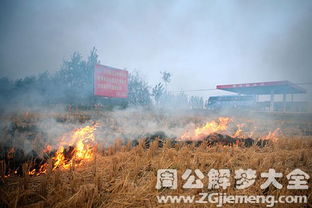 梦见稻草燃烧是什么意思 梦到稻草燃烧好不好 大鱼解梦网 