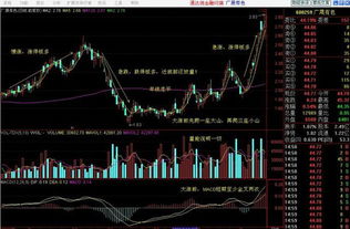 如何抓牛股及涨停板跌停板的扫货法