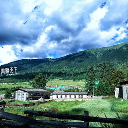 西藏林芝巴宜鲁朗镇天气预报