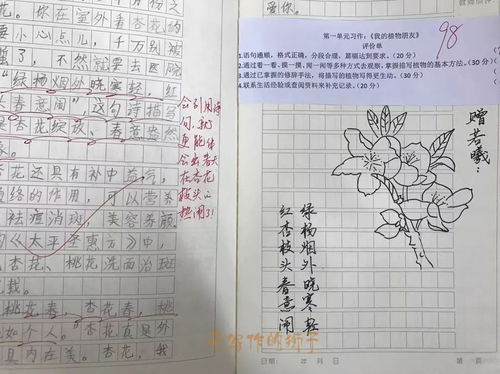 不会画画不敢给学生写评语啦 杭州这位老师给学生在作文评语上画芹菜 狗尾巴草