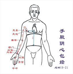 右手中指代表身体哪些部位 有满意答案追加30分 