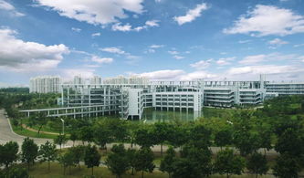 东莞理工学院排名 最新2021（历届）全国排名第456位