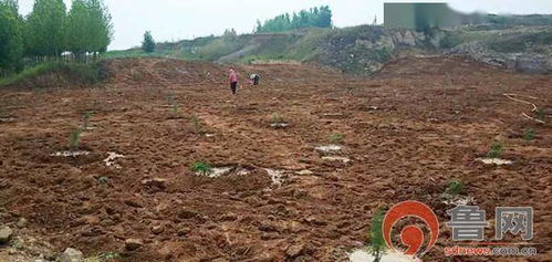 淄博周村 专项整治让废弃矿坑变身 生态绿地