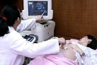 熊猫血意外怀孕三胎还可以做抗体检查吗(熊猫血要三胎需要做什么检查)