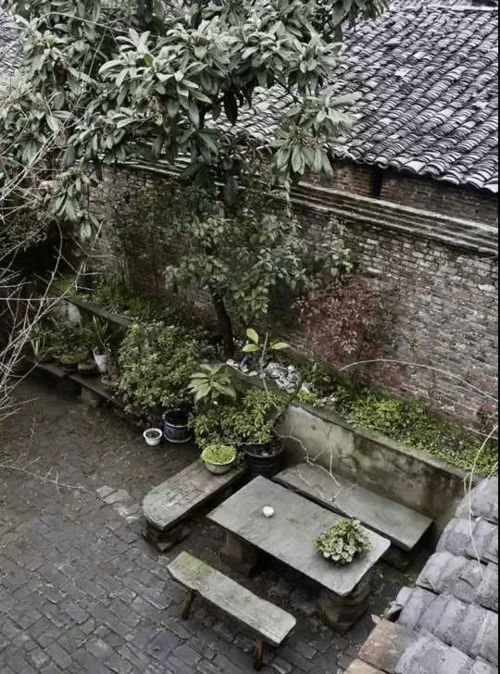 小院一座,几度春风几度雨