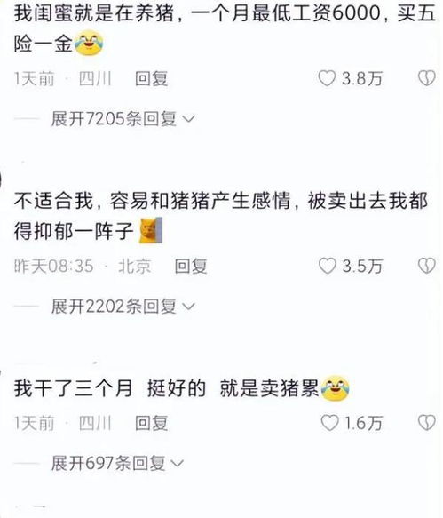 还是进厂养猪香 ,00后社恐女大学生晒新工作,收入可观不内卷