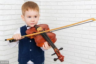 提琴学习案例 对于初学者学习小提琴都有哪些心得体会