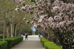 同学,等一下 给学校的各大地点起一个有趣的名字吧