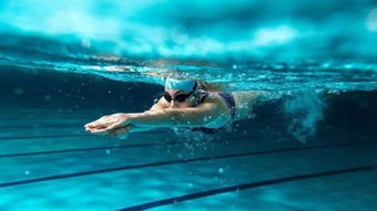 游泳运动员的营养方案 送给爱游泳的你 