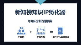 做IP孵化的公司有什么推荐？