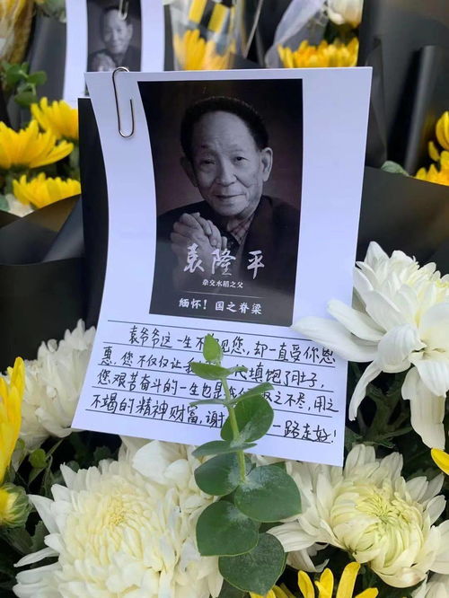 80岁老人祝寿送什么鲜花