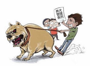 罚款200元烈犬被收容 沪犬伤人调查 带罗威纳犬血统属禁养范围