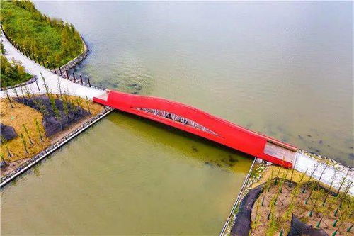 赤橙黄绿青蓝紫 滴水湖环湖景观带的七座桥有专属名字啦