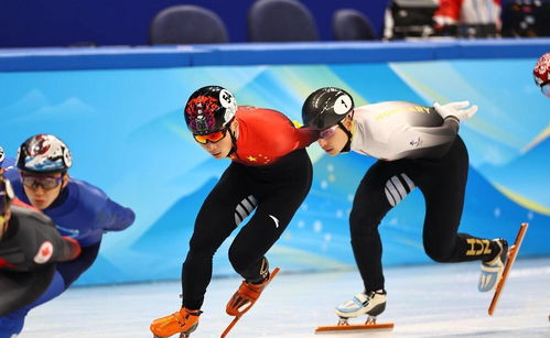 冬奥会短道速滑男子1500米 任子威犯规出局无缘决赛