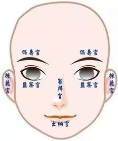 女子花3万8纹 开运眉 ,霉运不断,还险丢命 五官藏玄机,乱动惹大祸 眉毛 