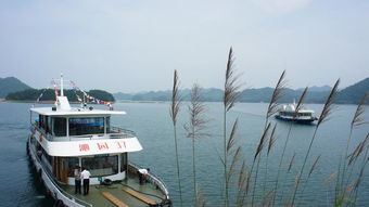 千岛湖中心湖区停车场凭票免费吗(千岛湖银泰附近免费停车场)