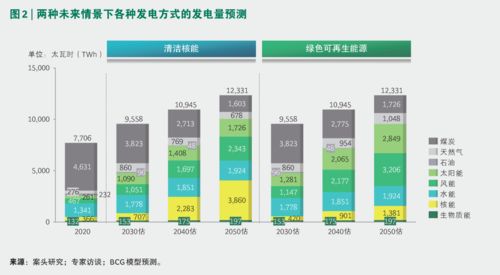 中国电力行业能源转型系列 实现碳中和目标的电力结构