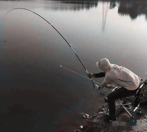 钓鱼为什么会上瘾