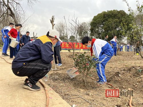 植树节,学生家长携手种下 春的希望