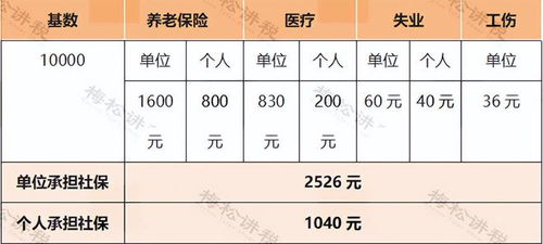 社保工资如何计提发放 计提社保缴纳社保发放工资