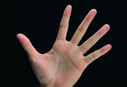 手相图解 每个人手上的中指代表哪些意思