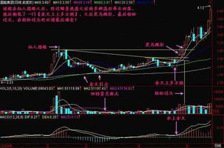 今年的股市将会变成什么样呢?