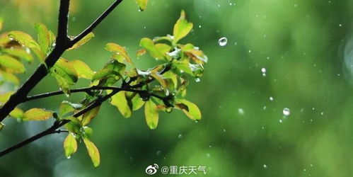 3月阴雨开局 后天阳光强势归来