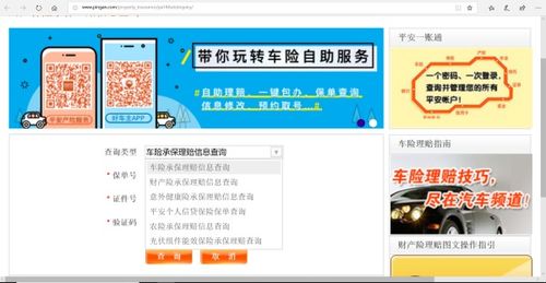 平安车险的理赔查询系统(平安保险车险理赔平台)