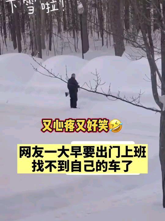 一大早出门要上班找不着车了又心疼又好笑 大家给支 