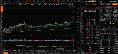 比如买入每股50，买入1000手，最后显示8.55％，这是什么意思？我是真不懂，麻烦各位告知计算过