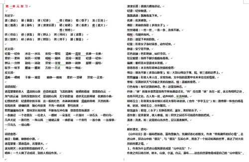 数学六年级上册的知识